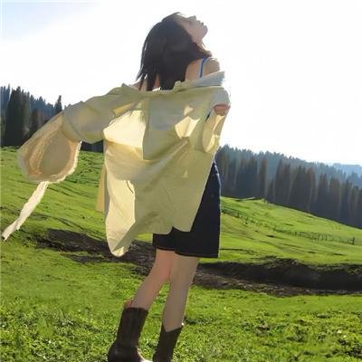 红色康乃馨