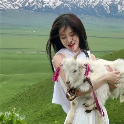 伪装大师2:完美骗局